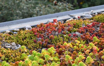 the cost of Great Shelford green roof installation
