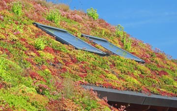 Great Shelford living roof systems